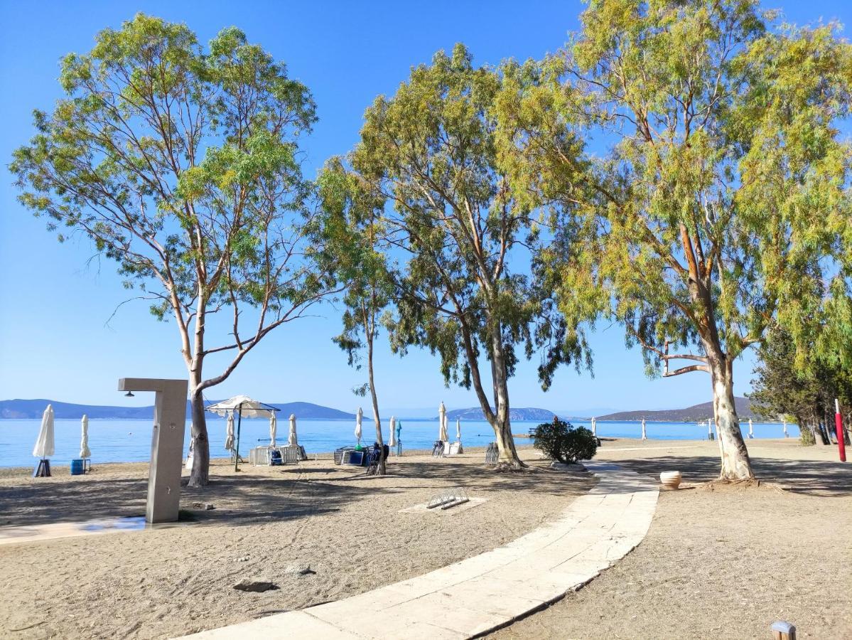 Porto Hydra - Villa Mirani Ermioni Exteriér fotografie