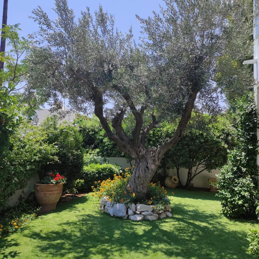 Porto Hydra - Villa Mirani Ermioni Exteriér fotografie
